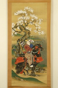 【真作】掛軸「狩野養長 桜花武者図」江戸後期 肥後狩野 狩野晴川院師事 武者絵 絵画