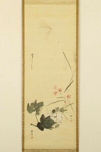 【真作】掛軸「渡辺省亭・川端玉章・松本楓湖 秋草図合作」箱書有 日本画家 菊池容斎師事 円山派 絵画