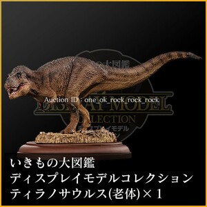 【ティラノサウルス 老体】いきもの大図鑑 ディスプレイモデルコレクション 恐竜01 検：バンダイ フィギュア ジュラシックパーク 01