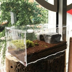 AS002:* special price * reptiles liking . person * breeding case cage insect insect amphibia acrylic fiber bi burr um terrarium lizard snake [S size 
