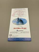 超激レア 8cmCD アドベンチャーワールド オリジナルソング 4T-1437_画像3