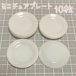 ミニチュア　プレート　皿　食器　10枚