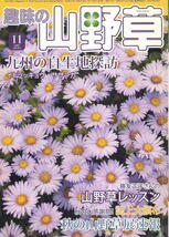 【趣味の山野草】2009.11 ★ 九州の自生地探訪 イトラッキョウ サザンカ　藤友正子さんの山野草レッスン_画像1