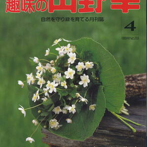 【趣味の山野草】1993.04 ★ 春の信濃時 エビネ銘花と栽培法の画像1