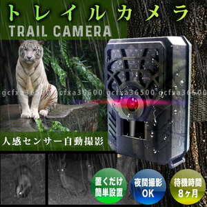 トレイルカメラ 1個 防犯 監視 小型 720P IP54 PIR 解像度 ワイヤレス 屋外 熱感知 赤外線 人感 センサー 配線不要 電池式 防水 庭 駐車場 