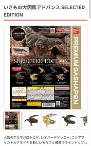 いきもの大図鑑アドバンス SELECTED EDITION レオパードゲッコー（カーボン）1点