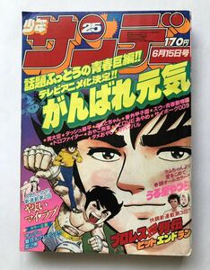 週刊少年サンデー　1980年25号　6月15日号　小学館　うる星やつら　まことちゃん　サイボーグ009 ダメおやじ　ズウ　男大空　がんばれ元気