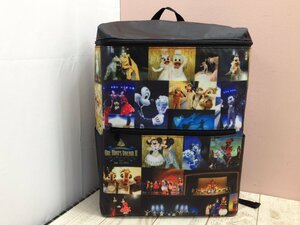 ◇ディズニー TDR ワンマンズドリーム2 カメラバッグ リュックサック 1点 6L101 【大型】