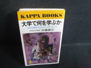 大学で何を学ぶか　加藤諦三　シミ日焼け強/SFP