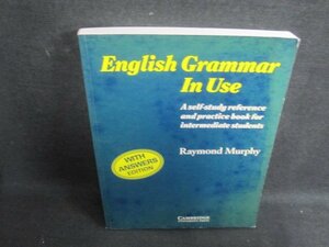 English Grammar in Use　書込み大・シミ日焼け強/TBZB