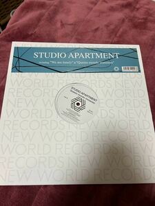 studio apartment - we are lonely 12インチ