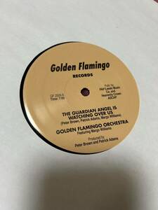 golden flamingo orchestra - the gurdian angel is watching over 12インチ