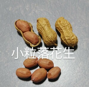 落花生種　小粒　100粒以上