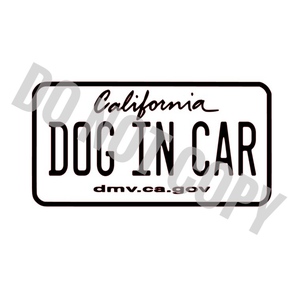 4 送料無料 Dog in car　白　ステッカー カッティングシール ドッグインカー 犬が乗っています CA California