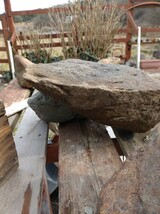 京都産の鞍馬石です。 庭石 サイズ_画像4