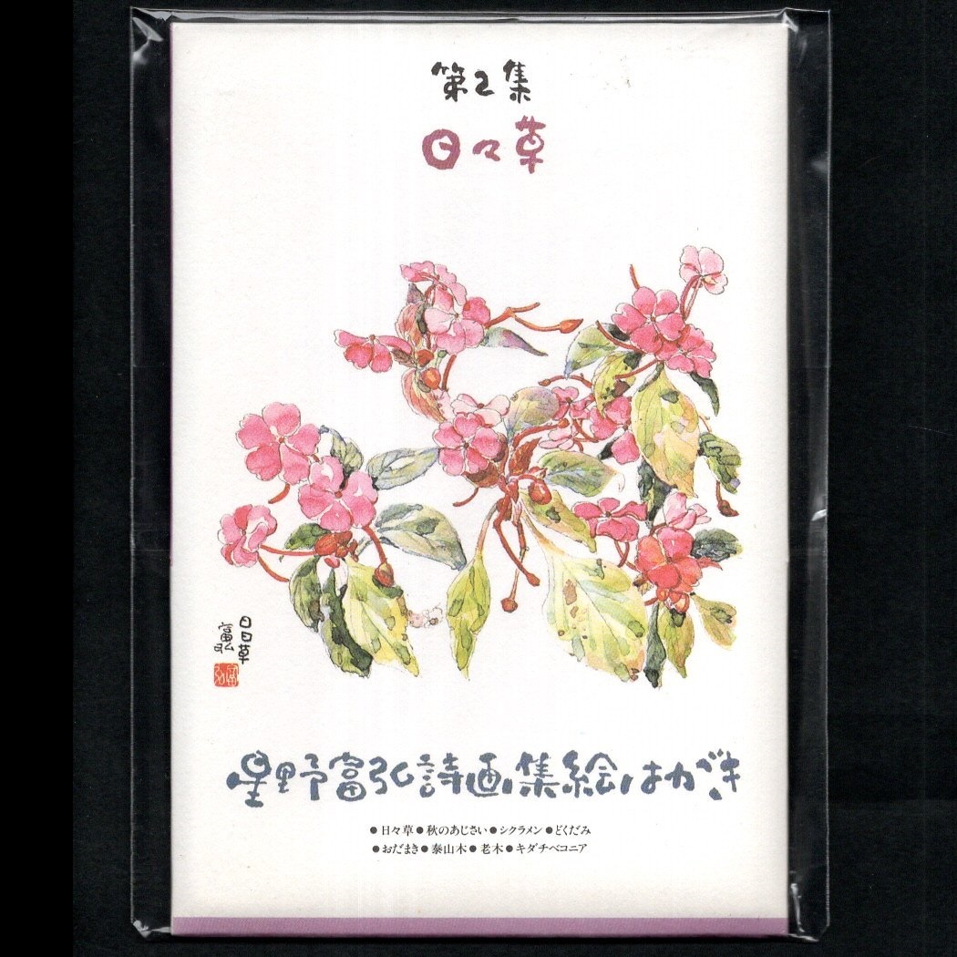 पोस्टकार्ड पेंटिंग/चित्रण टोमिहिरो होशिनो काव्य पोस्टकार्ड संग्रह खंड। 2 डेली ग्रास 8 शीट + पेपर केस 5 अंकीय पोस्टल कोड अप्रयुक्त, खुला हुआ, बुक - पोस्ट, पोस्टकार्ड, पोस्टकार्ड, अन्य