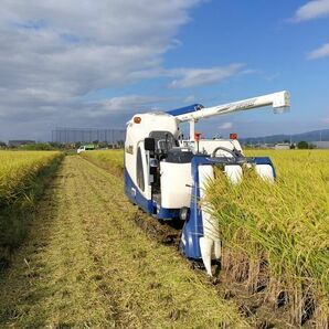 【化学肥料及び農薬不使用（無農薬）】令和5年10月収穫 こだわり緑肥有機栽培 奈良県産ヒノヒカリ玄米10kg 農家直送  無料精米可の画像5