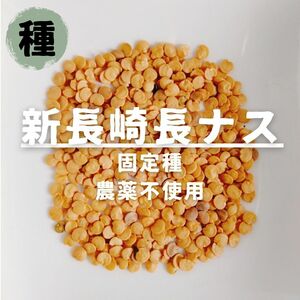 【種】ナス　新長崎長茄子　無農薬　30粒