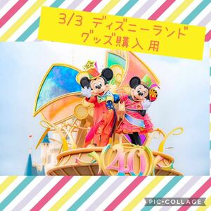 ディズニーランド 3月3日 3/3 使用済チケット オンラインショッピング用 グッズ購入用 40周年 ④