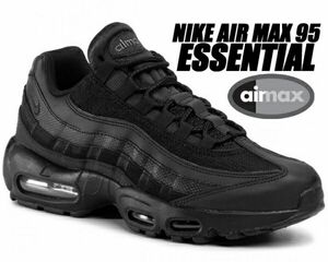 29cm Nike Air Max 95 Triple Black