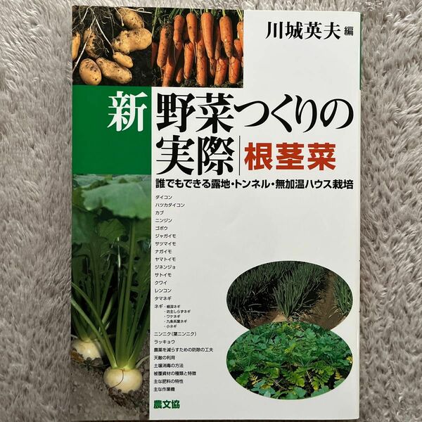 新野菜つくりの実際　誰でもできる露地・トンネル・無加温ハウス栽培　根茎菜 川城英夫／編