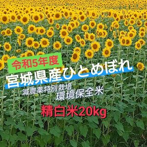 令和5年 【精白米20kg】宮城県産ひとめぼれ『特別栽培環境保全米』