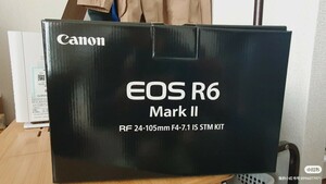 キヤノン EOS r6 Markii ボディ