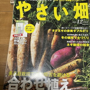 やさい畑 2020-2021年 7冊 付録完備 図書館廃棄本の画像7