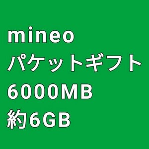 即決 再発行可 匿名取引 約6GB 6000MB mineo パケットギフトコード 送料無料 マイネオ