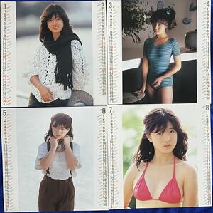  Nakamori Akina calendar 1983 year (1~12 month all we do ) pin nap Mini poster 