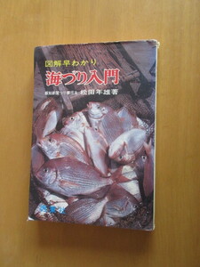 海つり入門　　　図解早わかり　　松田年雄　　西東社　　昭和46年9月　　単行本