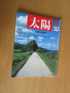 太陽　特集・漂泊の俳人　山頭火と放哉ー名句100選／荒木経惟の東京紀行　　19898年10月　NO,338　平凡社