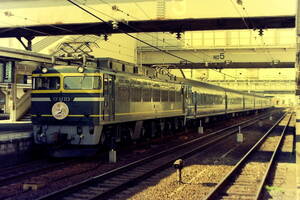 ♪　EF81 113（トワイライト機）＋20系　1991・賀正　姫路駅　KG写真 ♪　