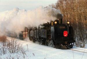 ♪　C11 207＋C11 171＋貨＋14系　冬の湿原号　KG写真 ♪　