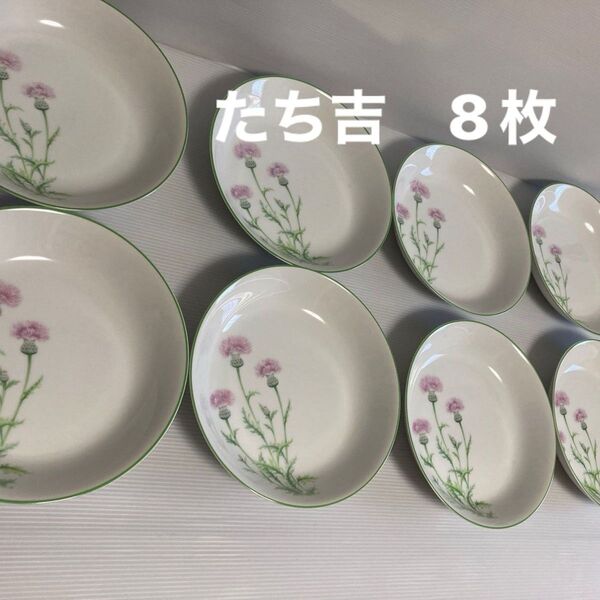 たち吉 アダム&イブ スープ皿8枚セット
