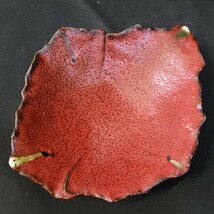 赤釉　三つ足　葉形盛皿　未使用　/変形皿/赤/和食器/陶磁器/_画像5