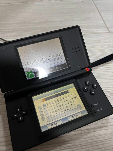 DS本体（充電器あり）ソフト10個セット　 DS Lite Nintendo ニンテンドーDS 任天堂 NINTENDO 