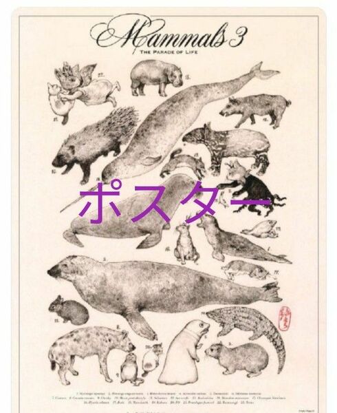 ヒグチユウコさんポスター　哺乳類展３　国立科学博物館
