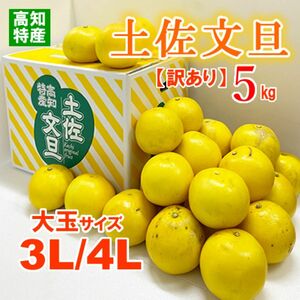 【訳あり】高知特産　土佐文旦　3Lまたは4Lサイズ　約5㎏