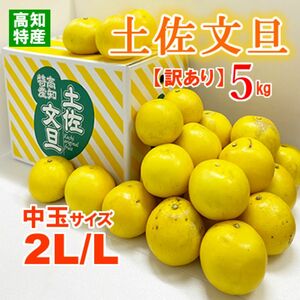 【訳あり】高知特産 土佐文旦　2LまたはLサイズ　約5㎏