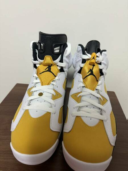 Air Jordan 6 Retro Yellow Ochre エアジョーダン 6 レトロAIR JORDAN 6 RETRO CT8529