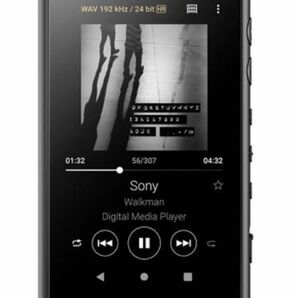 WALKMAN Aシリーズ NW-A100シリーズ NW-A105（B） ブラック