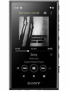 WALKMAN Aシリーズ NW-A100シリーズ NW-A105（B） ブラック