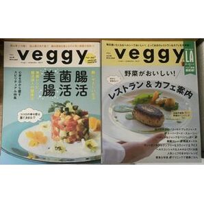 veggy　ベジィ　vol.46　vol.45 レストラン　カフェ案内　腸活　菌活　美腸