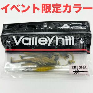 エビシャッド 限定カラー バレーヒル キープキャスト 2024 レア 匿名配送 EBISHAD3 Valleyhill 新品未開封