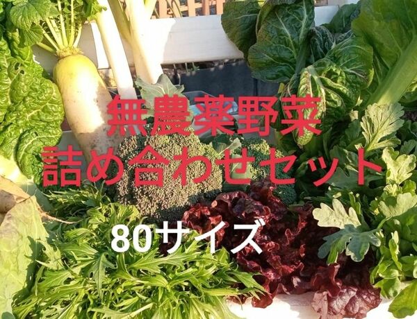 無農薬野菜　野菜詰め合わせ　新鮮　大阪産地直送　80サイズ