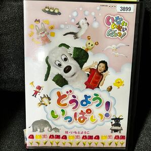 ○動作未確認　いないいないばあ　どうよういっぱい！　DVD