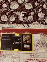大判　最高峰約144万ノット　シルク30％ウール70%　イラン産手織り 高級ペルシャ絨毯 201×305cm #5_画像9