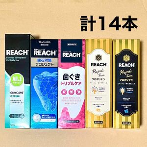 【計14本】銀座ステファニー リーチ（REACH）歯磨き粉 120g