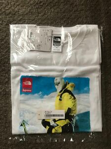 Supreme the north face tee デッドストック